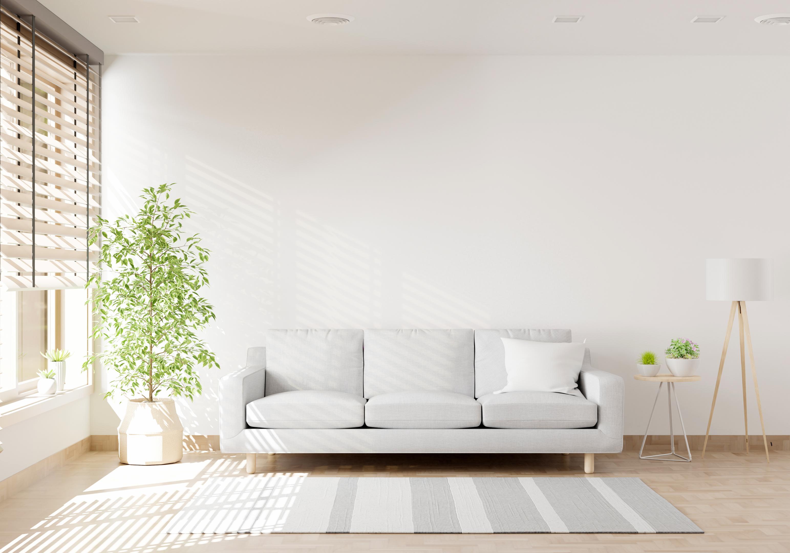 Neatly arranged living room