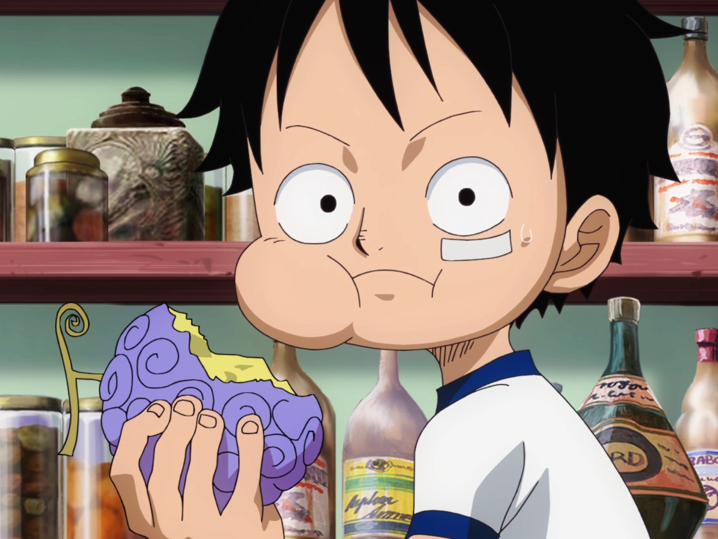 Luffy's Devil Fruit