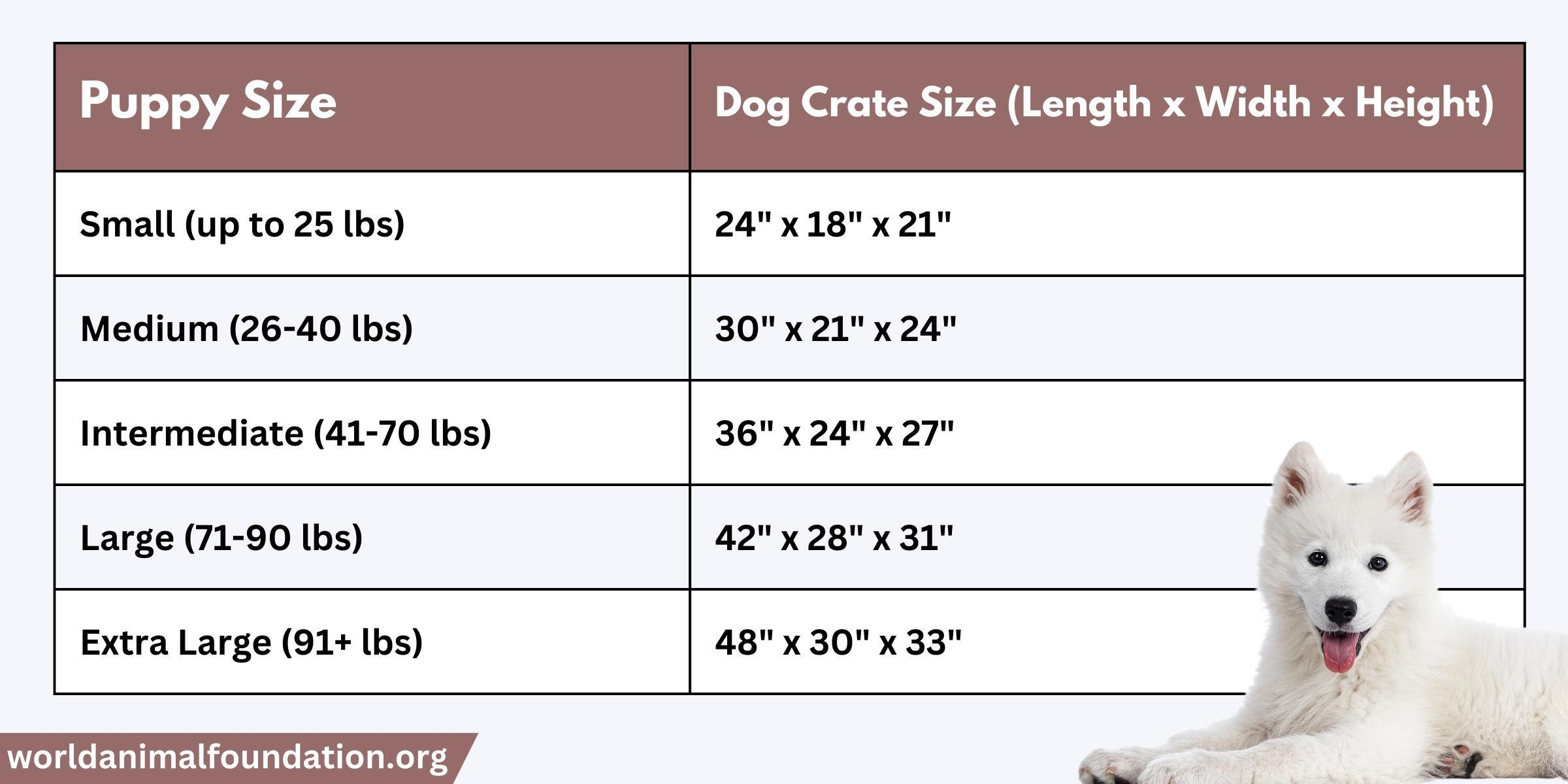 How To Crate Train A Puppy Or Dog - Complete Step-by-Step Guide!