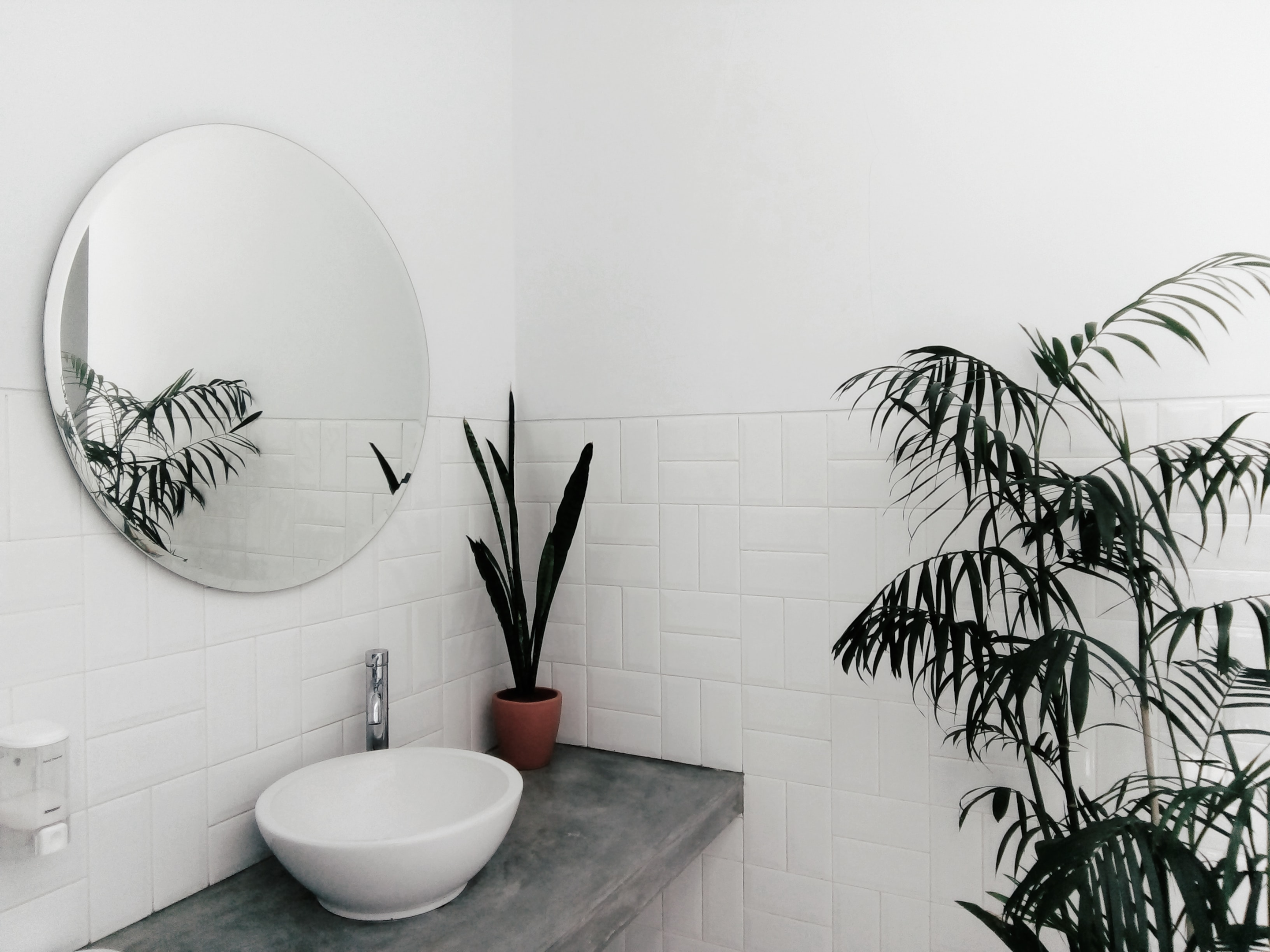 An white color scheme exudes simplicity and luxury. (Photo from Unsplash) | Image Link: https://images.unsplash.com/photo-1552454799-ca5cfdc612c8?ixlib=rb-1.2.1&ixid=MnwxMjA3fDB8MHxwaG90by1wYWdlfHx8fGVufDB8fHx8&auto=format&fit=crop&w=774&q=80