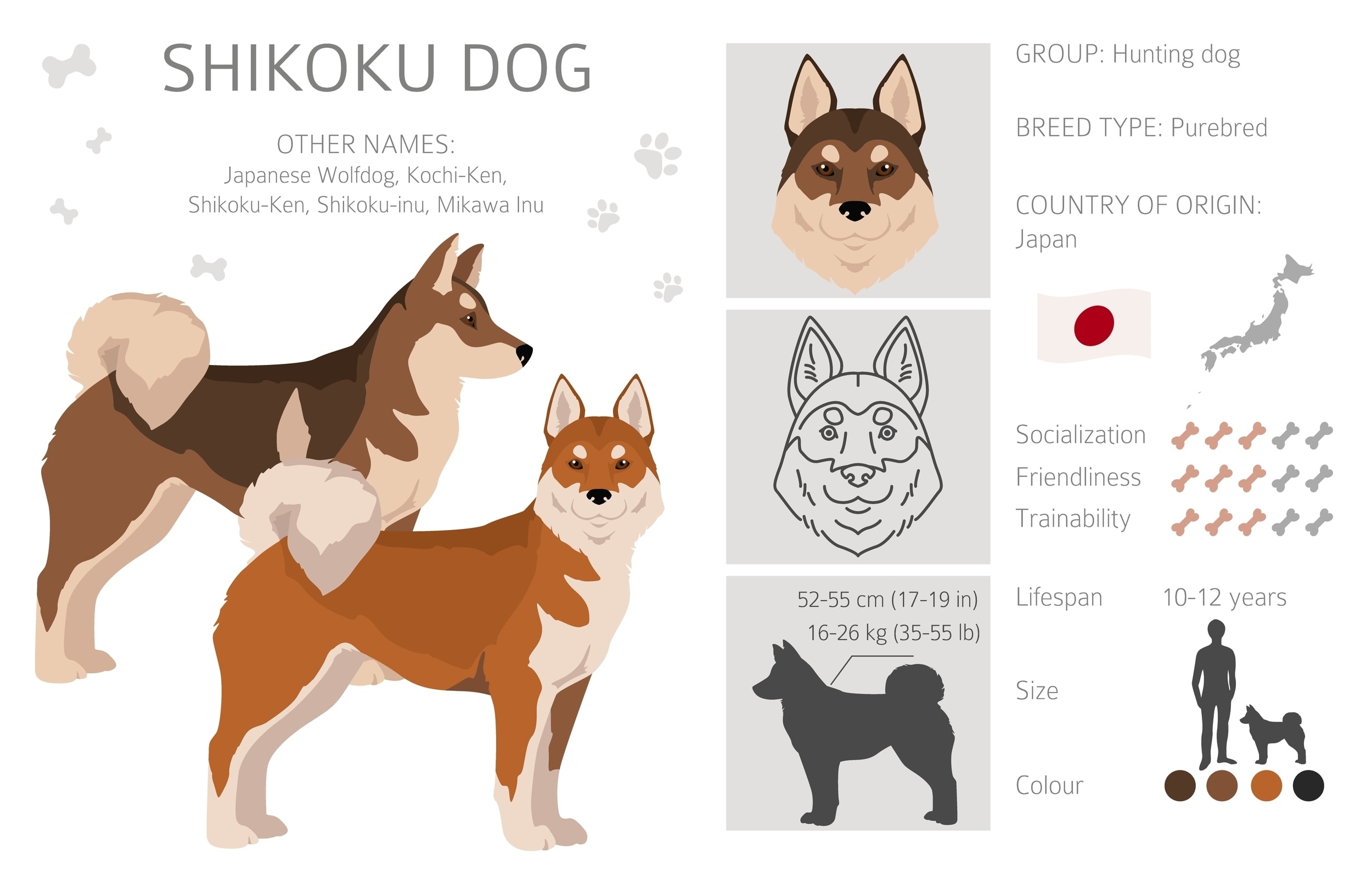 An infographic of the Shikoku 