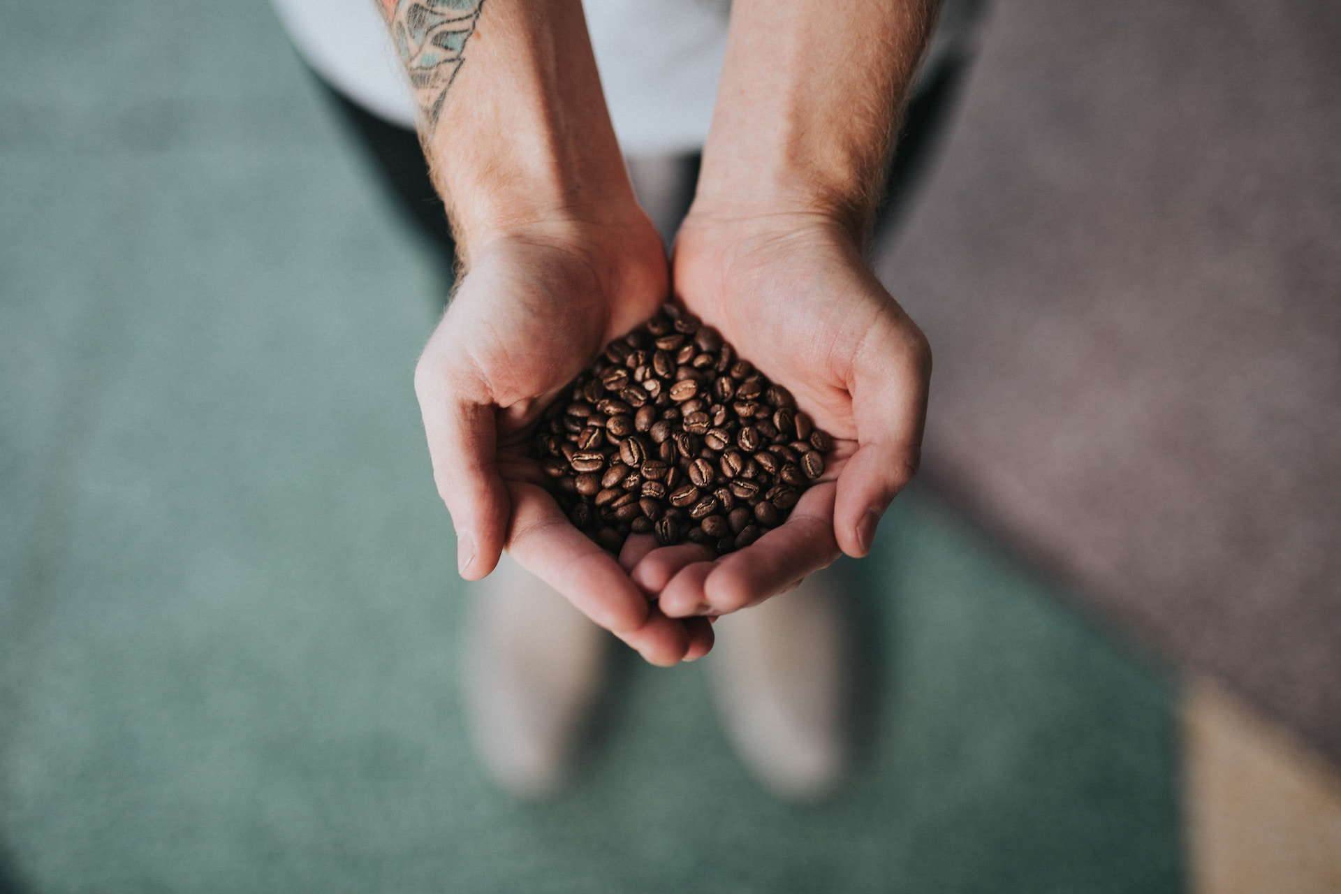 Two hands cupped together to hold a small pile of coffee beans