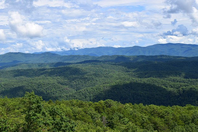 smoky mountains, smokies, tennessee