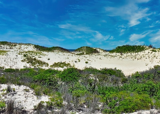 beach, dunes, sand