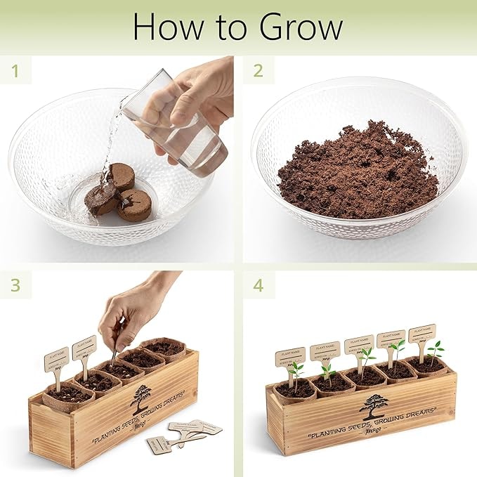 Bonsai Tree Kit