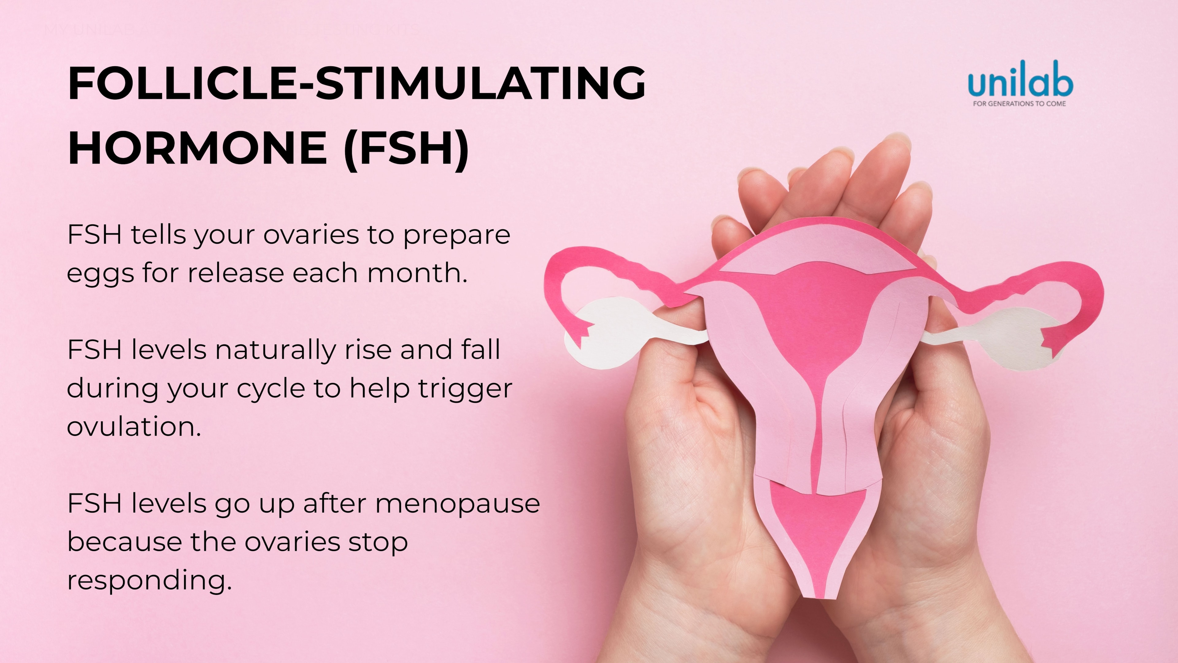 A pink background with a women's hand holding up a uterus.