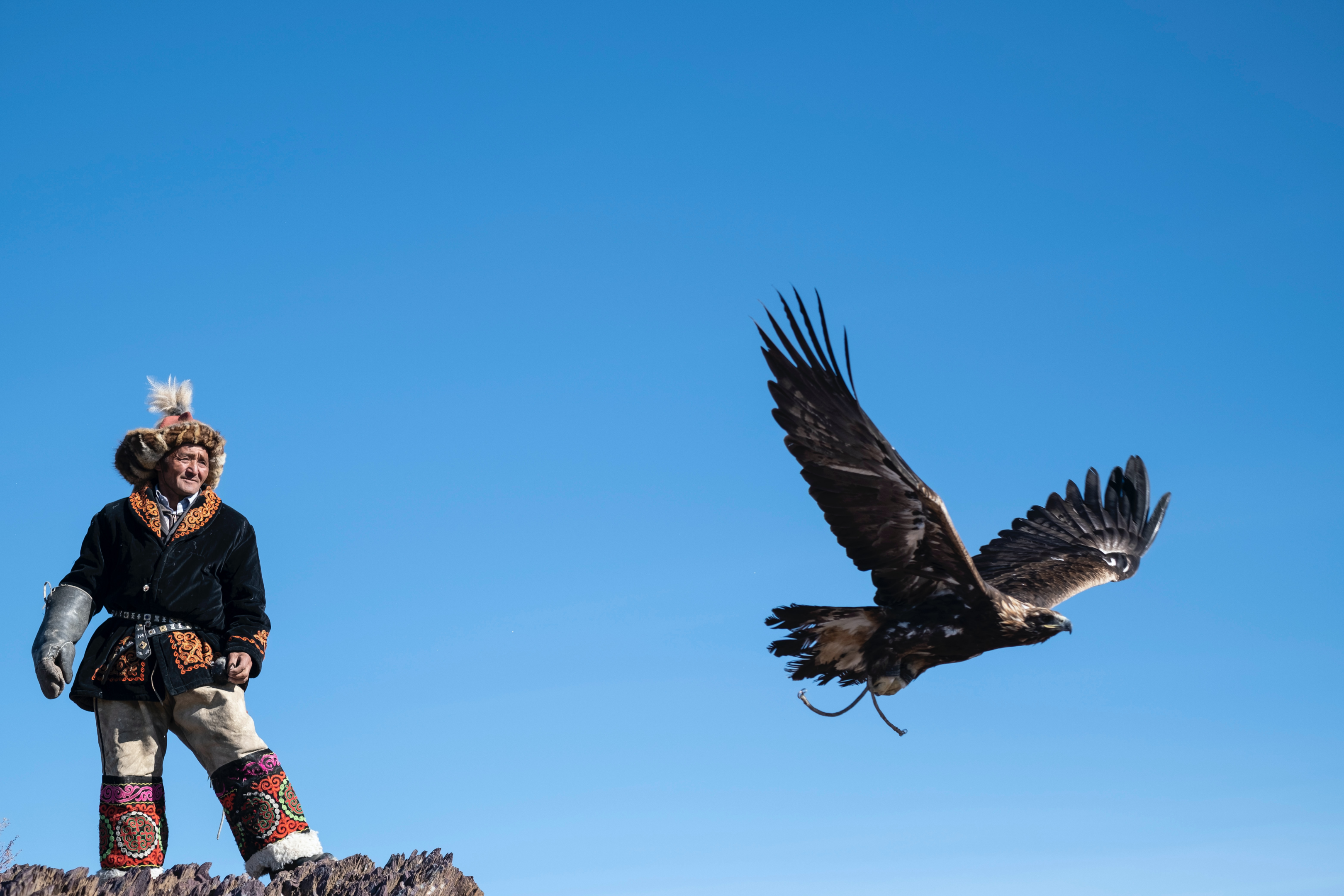 A golden eagle perched on a hunter's arm in western Mongolia