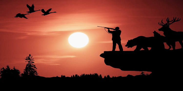 hunter with gun shooting flying ducks some animals near to him