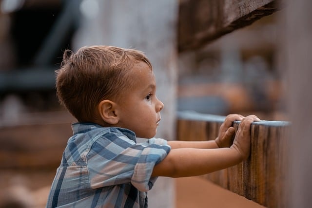 boy, excited, looking