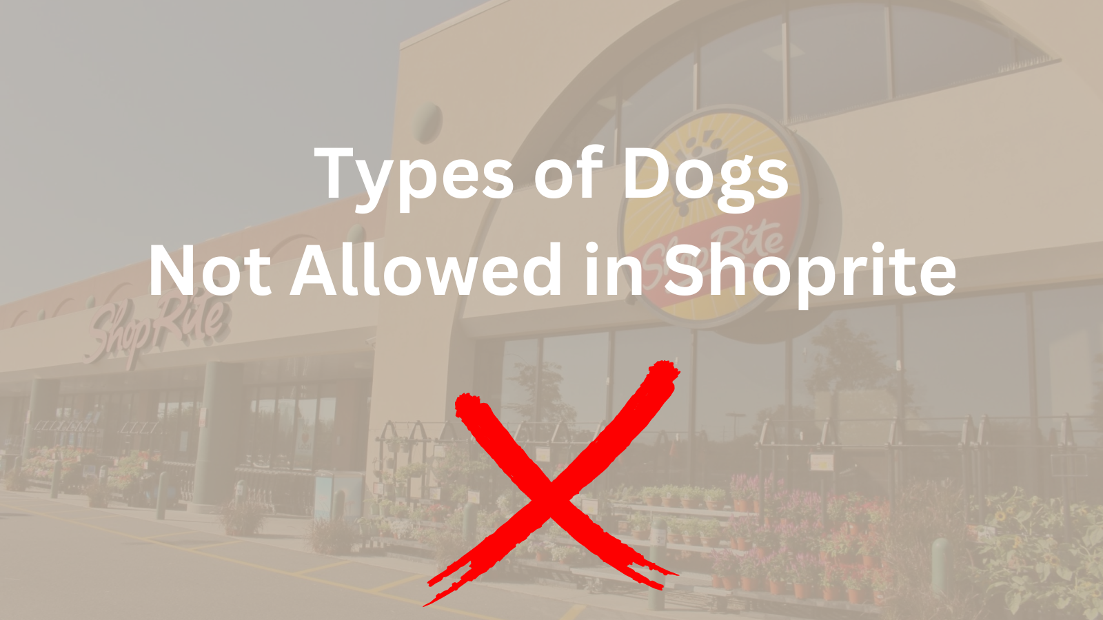 Image Text: "Types of Dogs Not Allowed in Shoprite"