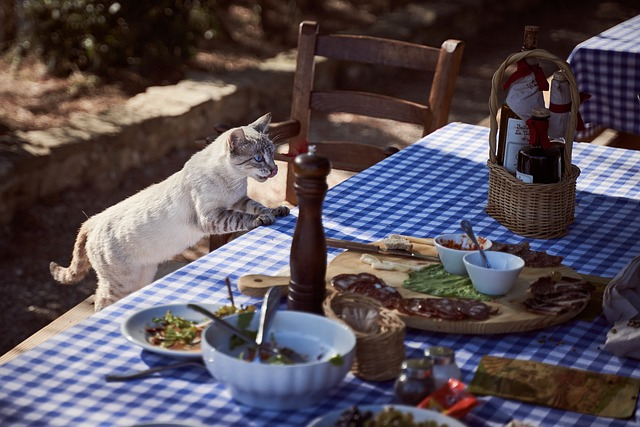 cat, table, dining table