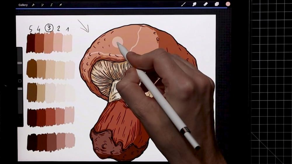 Procreate Courses - 14
