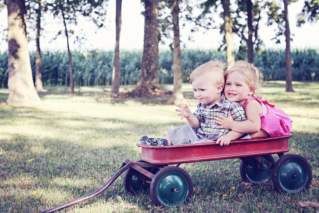 youth, children, wagon