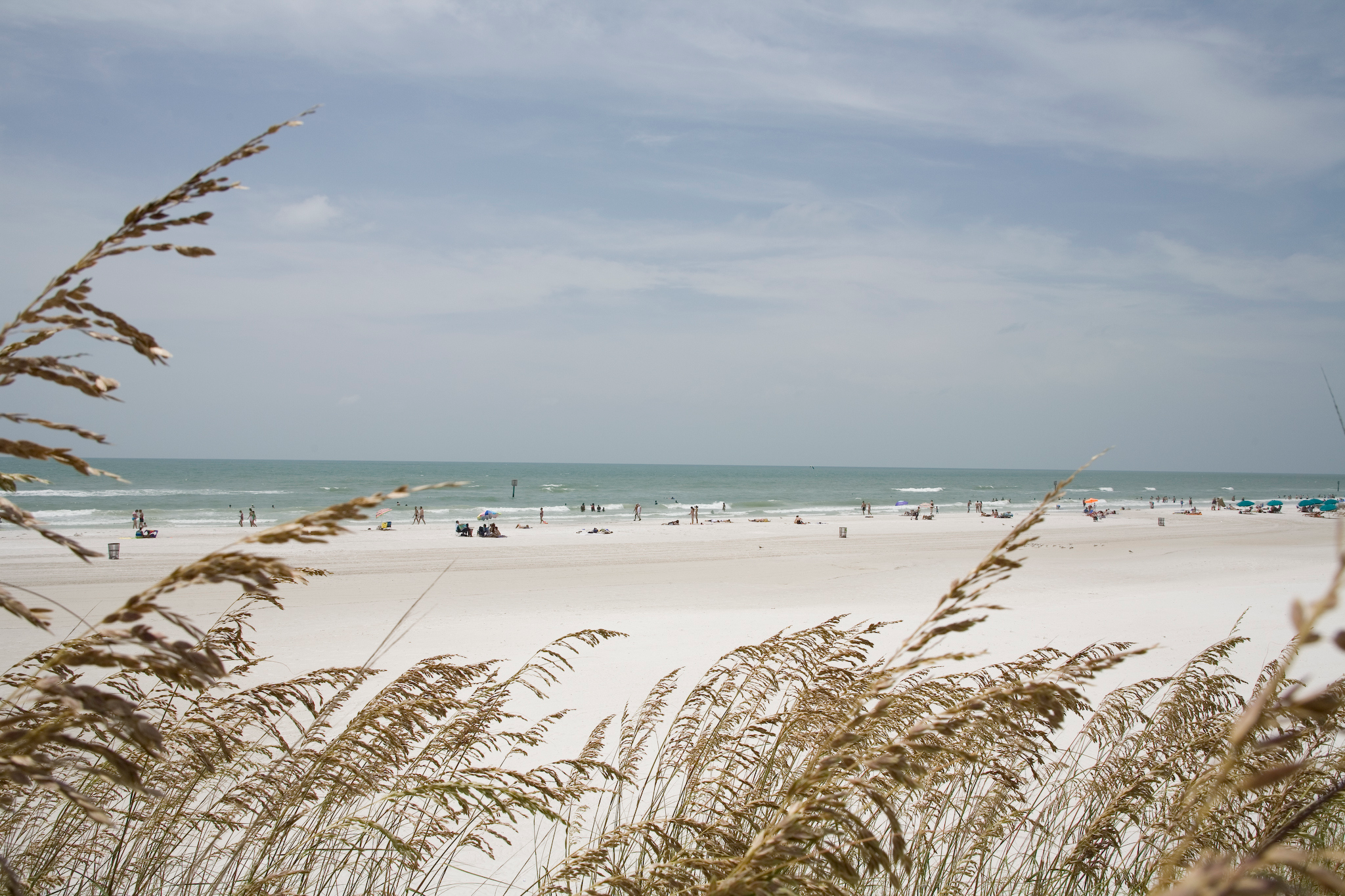 View of clearwater beach from the dunes at daytime