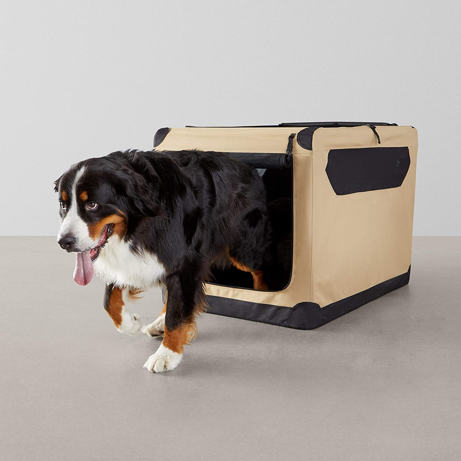 Retriever Dog Kennel