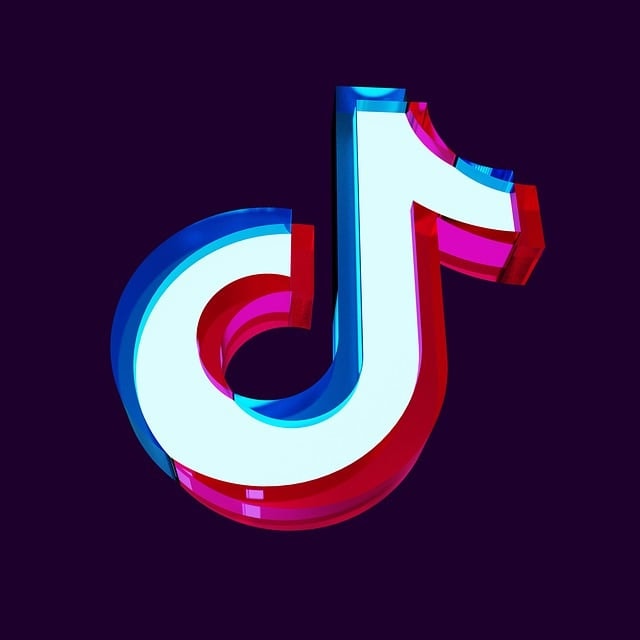 tiktok algorithm