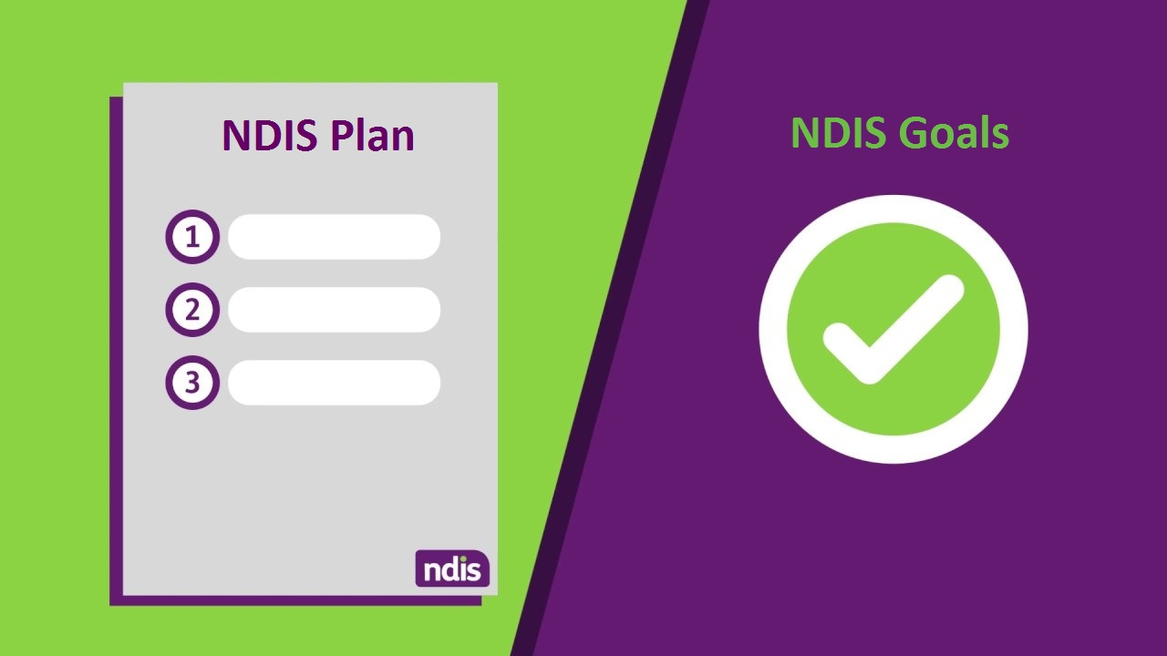 ndis goals and objectives
