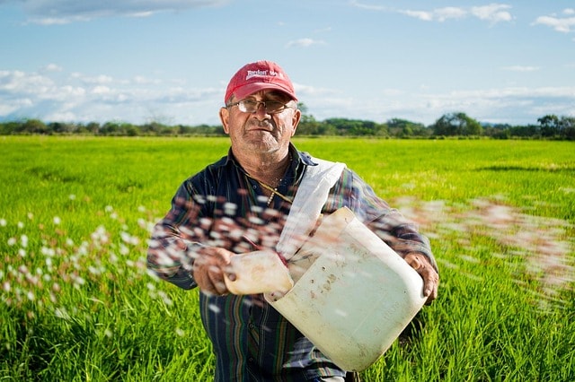 man, farmer, rice fields, rice crops, colombia, field, neiva, rice, farming, sowing, agriculture, cultivation, farmland, rural, countryside, farmer, farmer, farmer, farmer, farmer