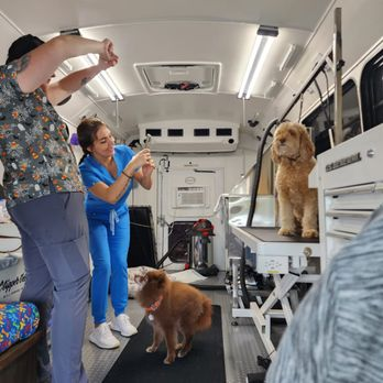 mobile pet grooming, mobile dog groomers, mobile dog grooming business, regular dog grooming