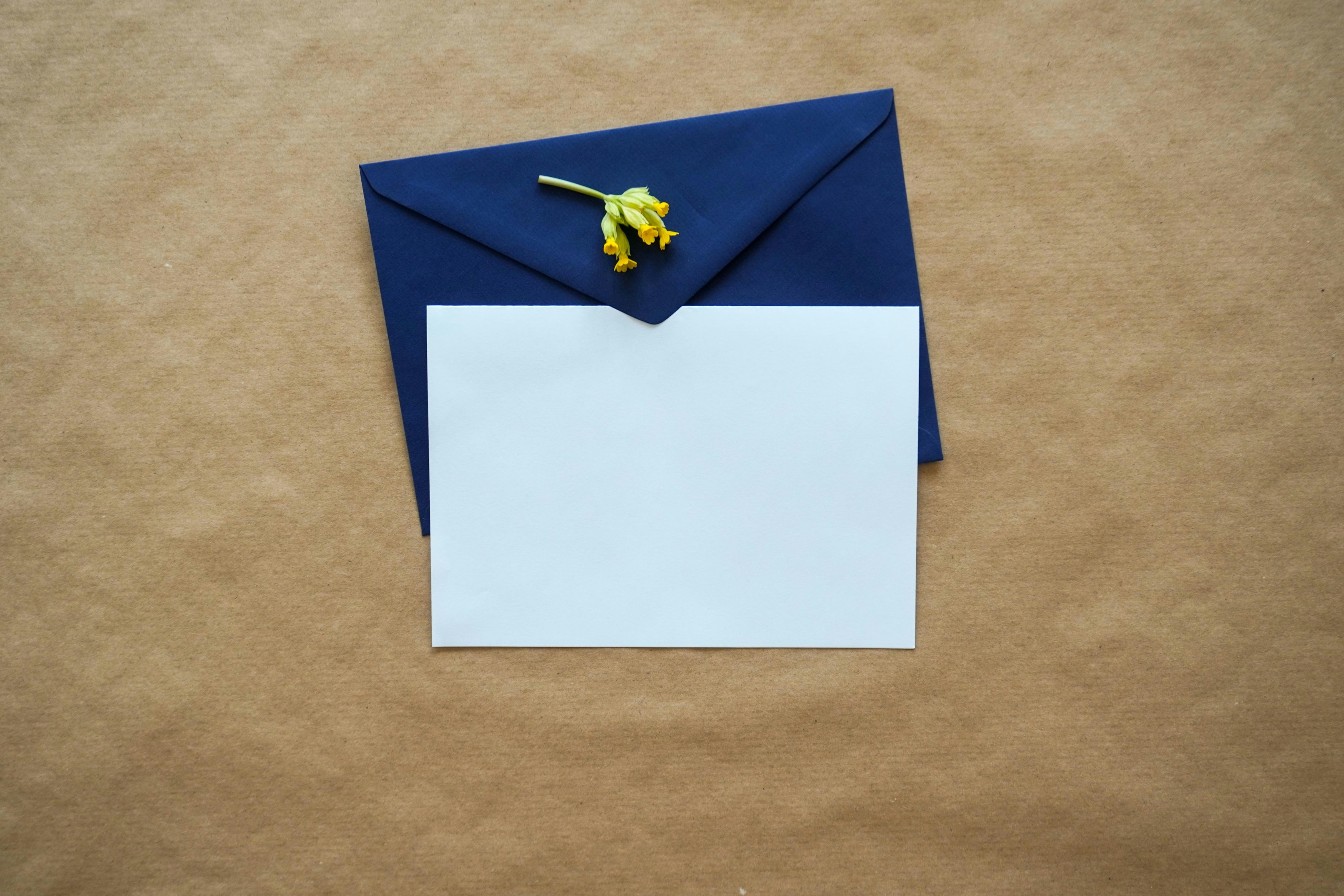 Letter and envelope sent to real estate owners house.