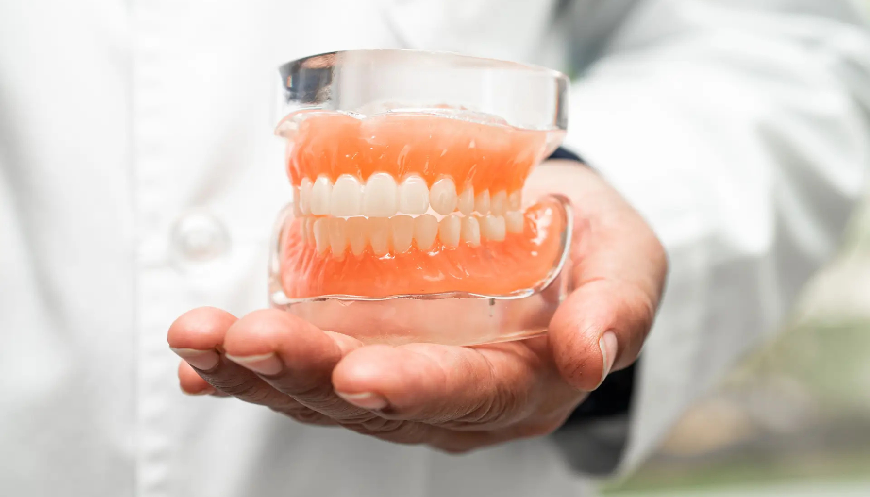 En tannlege holder en realistisk modell av et komplett tannsett med over- og underkjeve i en gjennomsiktig form til demonstrasjon.