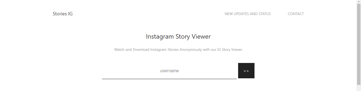 Stories IG Instagram Story Viewer