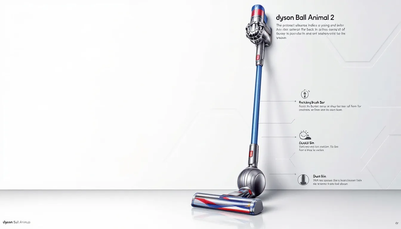 Introduction to the Dyson Ball Animal 2 vacuum cleaner.
