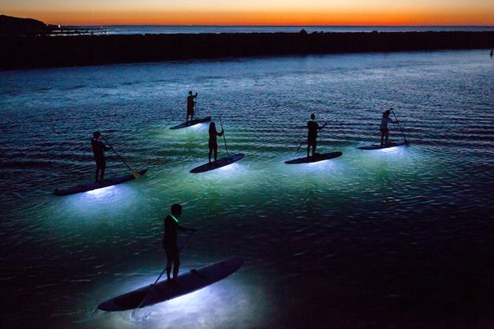 night paddling tours