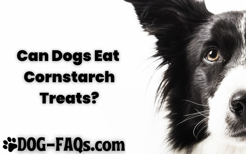 Can dogs eat cornstarch treats?