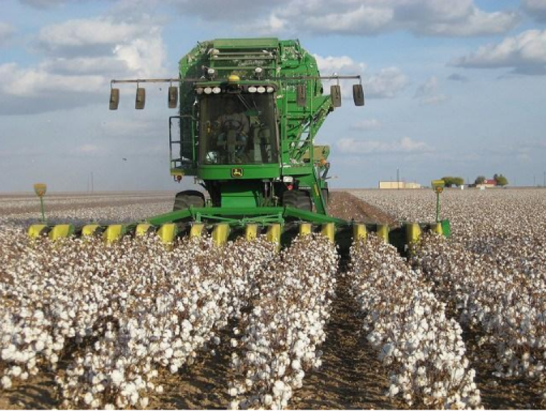 A harvesting machine that is harvesting cotton in a large scale production