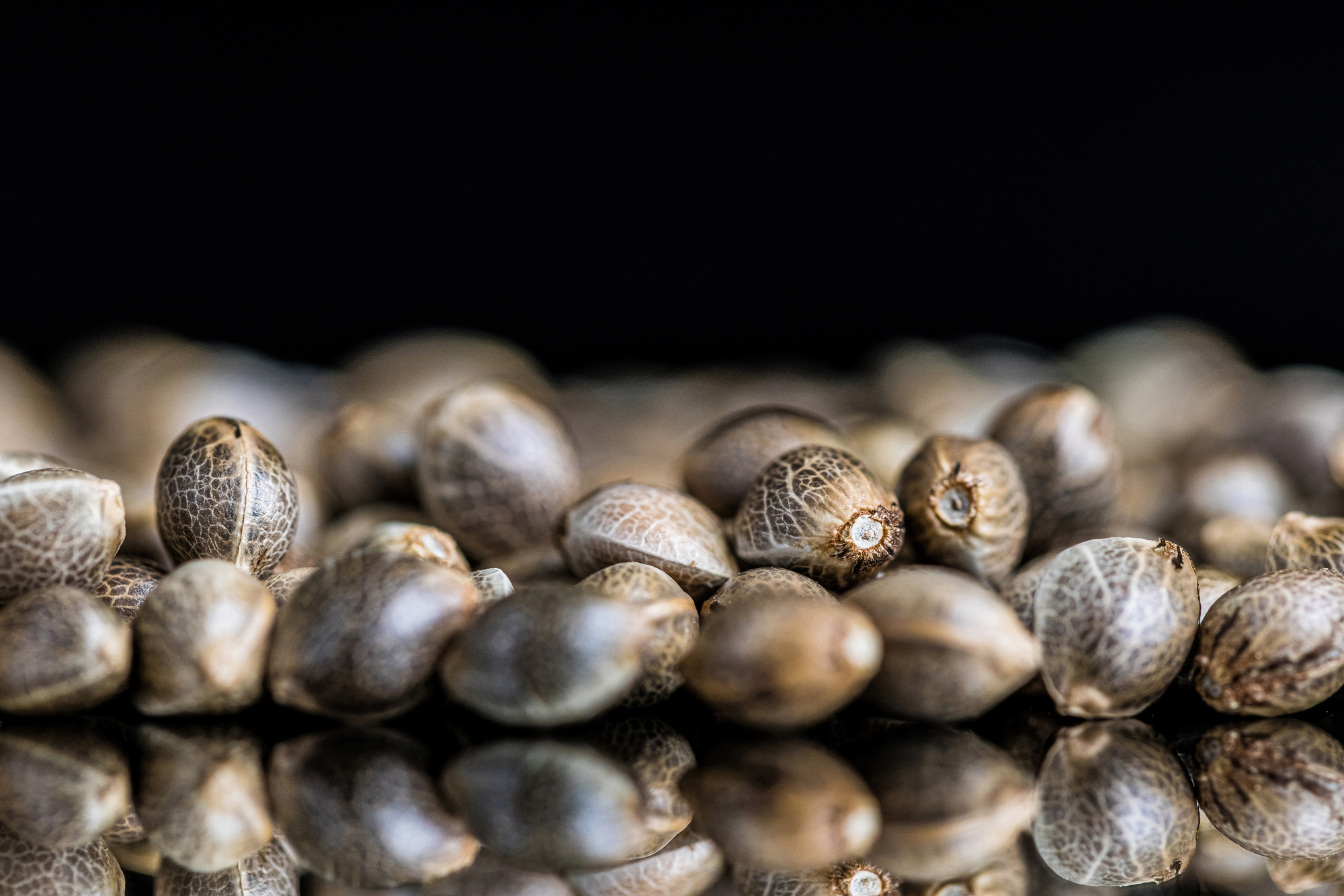 photo of cannabis seeds