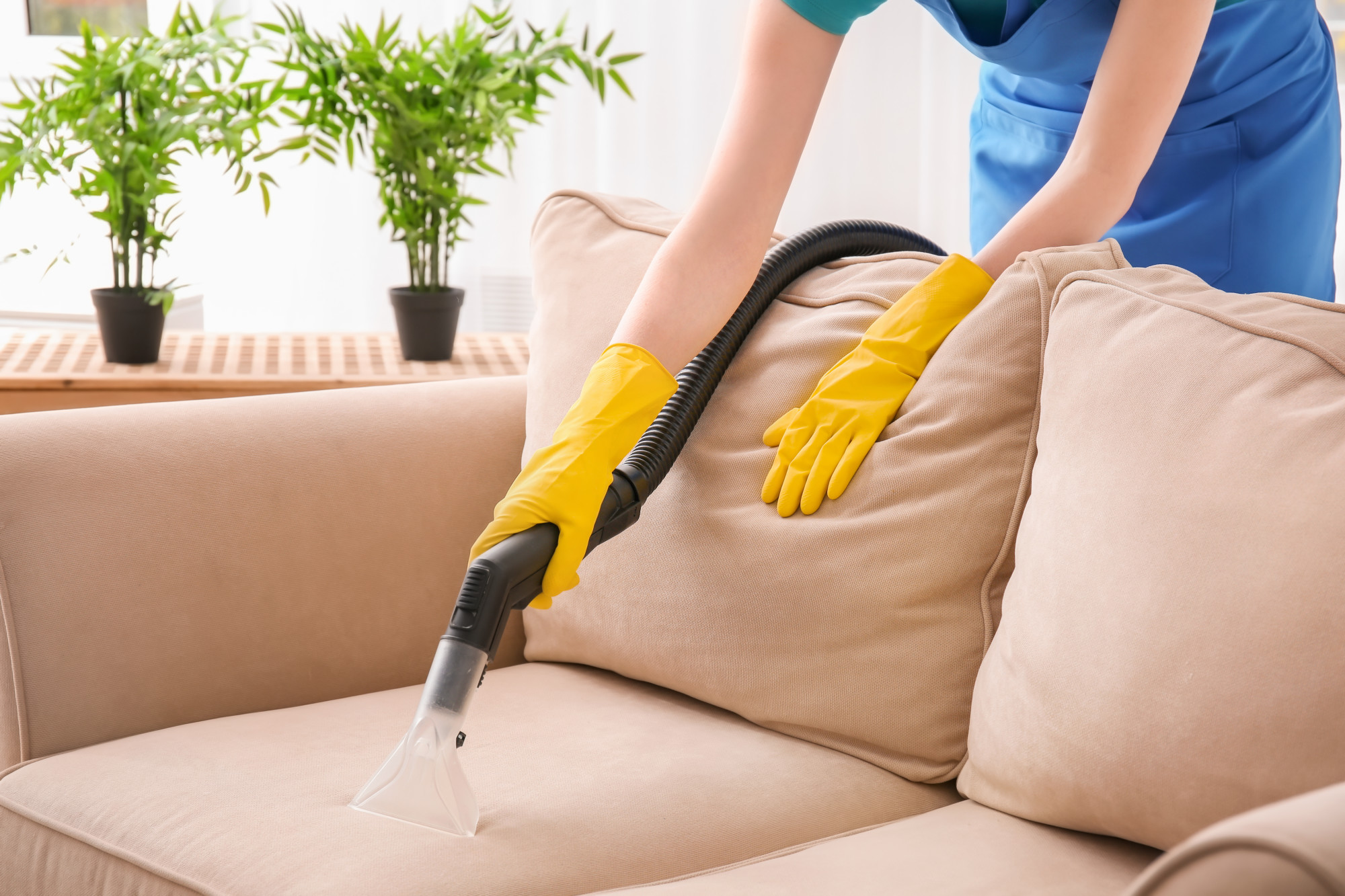 Achieve a clean fabric sofa using an upholstery steam cleaner
