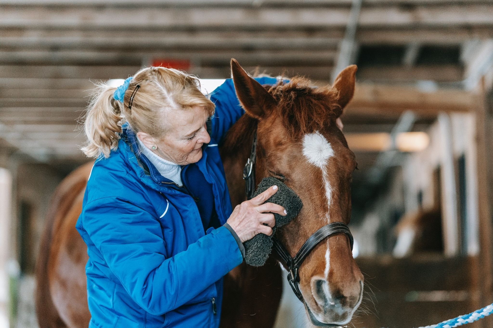 A lady cleaning a horse's eye with a sponge