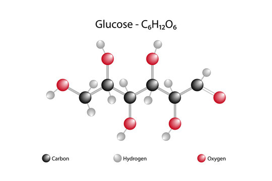 Diagram of a glucose molecule