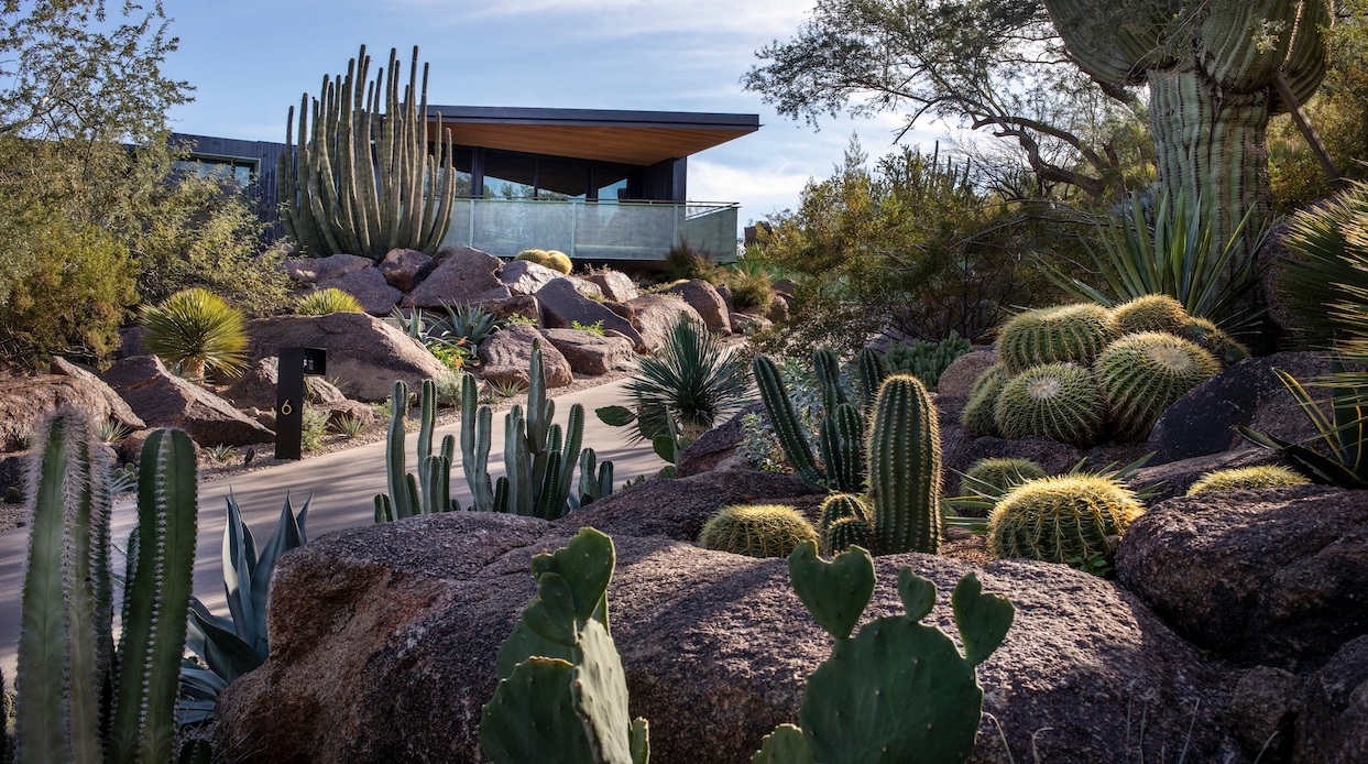 https://www.phgmag.com/xeriscaping-how-to-create-a-drought-tolerant-landscape/