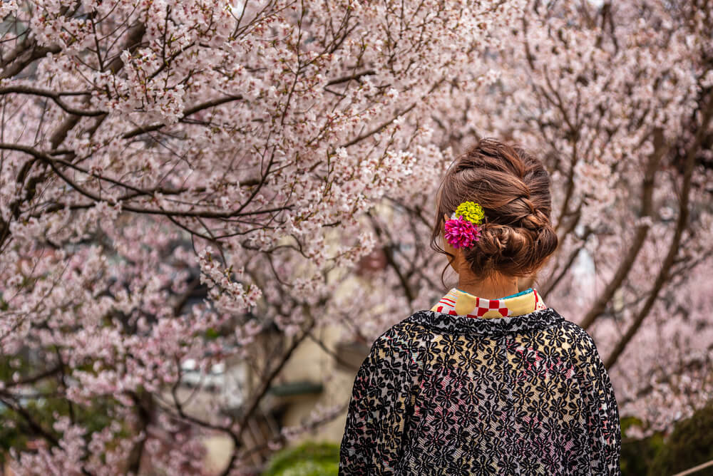 History of Cherry Blossom Hanami Festival