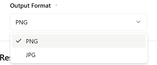 Zight Output format