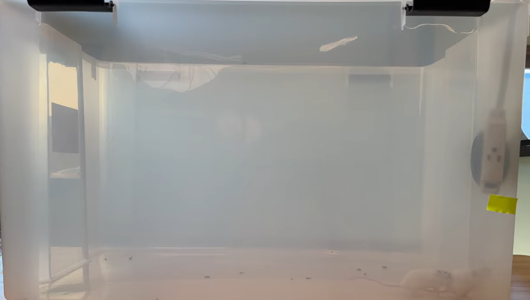 mice climbing towards the PIMAG ultrasonic pest repeller
