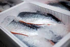 Gel Packs or Dry Ice? Tips for Shipping Seafood by ASC, Inc.