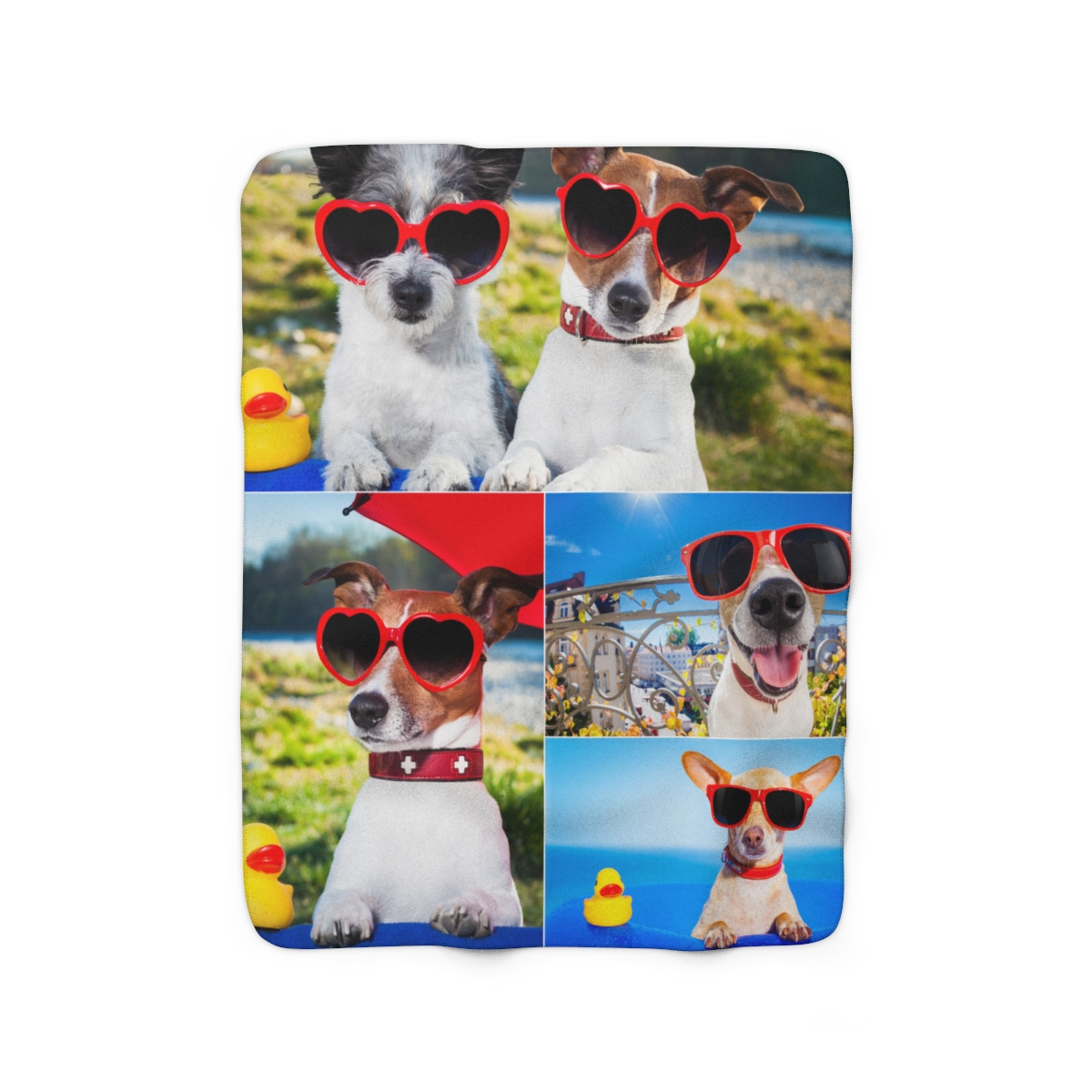 A great alternative to photo books is printing your pets photos onto a plush fleece blanket. How fun!
