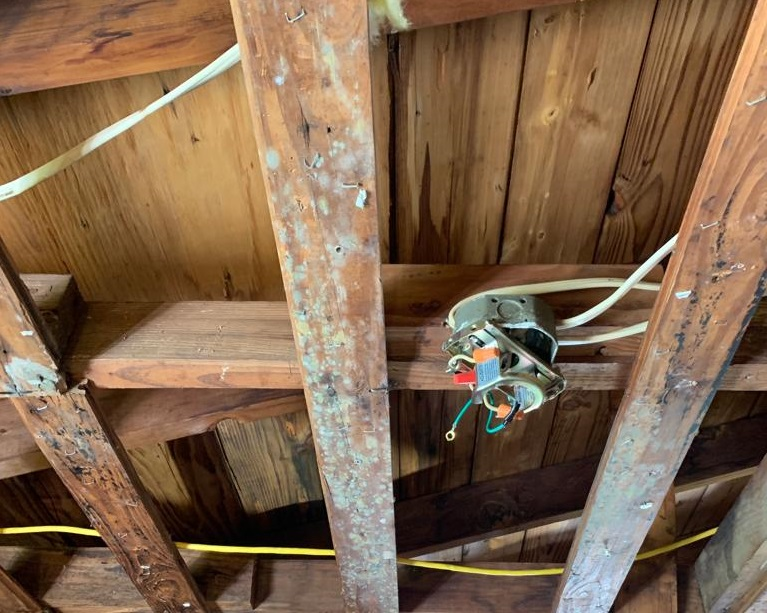 water damage restoration process airborne mold spores