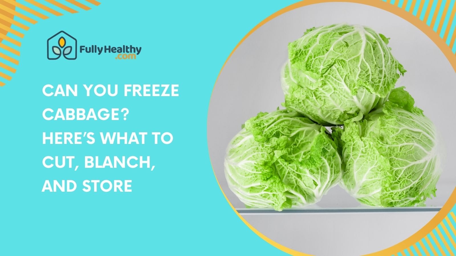 Can You Freeze Cabbage? Here’s What to Cut, Blanch, and Store