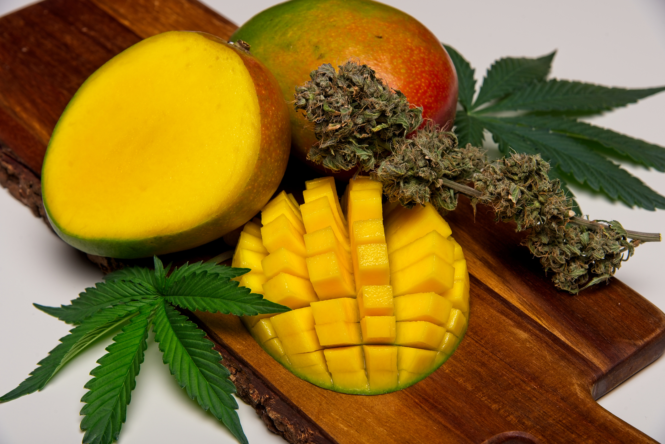 Does Mangos get you higher
