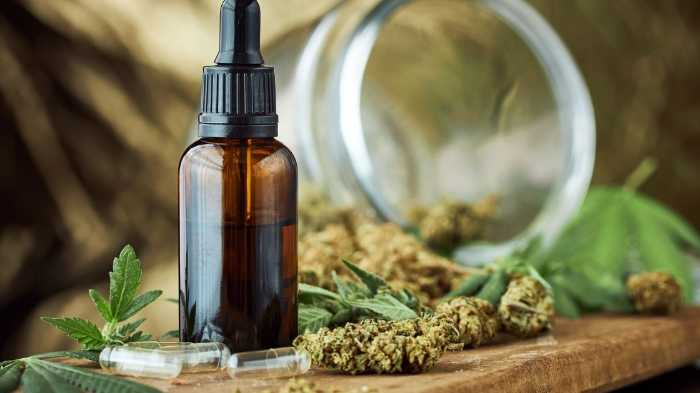 does legal cbd make you high and other marijuana laws