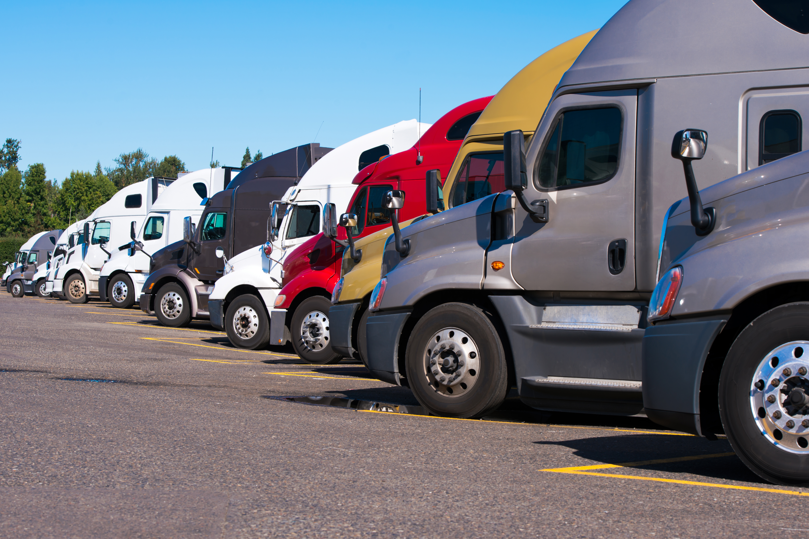 Picture of fleets lined up; World's largest fleet operator uses an enterprise fleet management solution with automotive expertise for their operations.