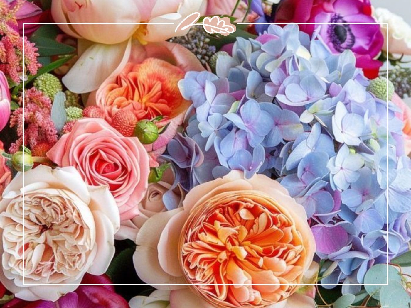 Romantic roses and hydrangeas in peach, pink and lilac tones – Where Can I Get Flowers? blog by Fabulous Flowers and Gifts.