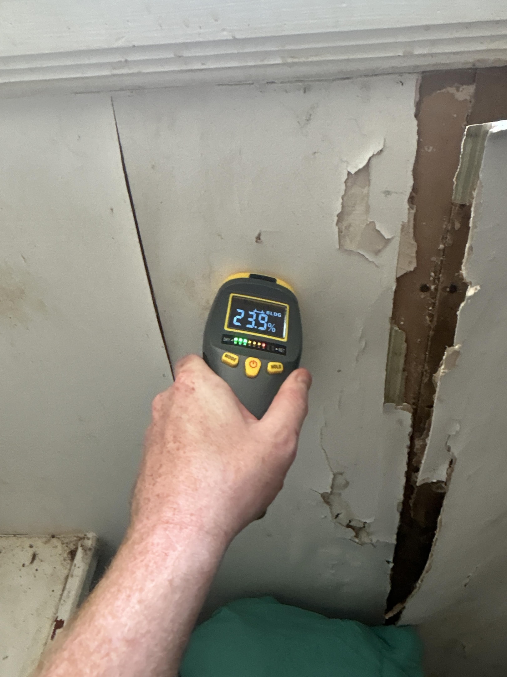 Mold inspection Baltimore 