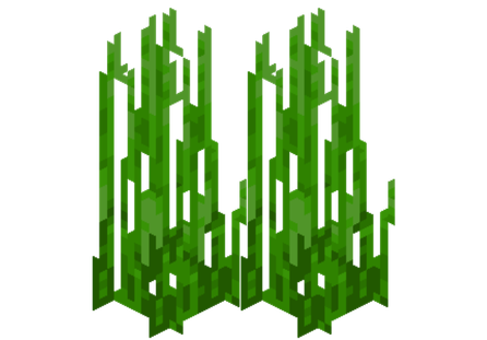 seagrass Minecraft