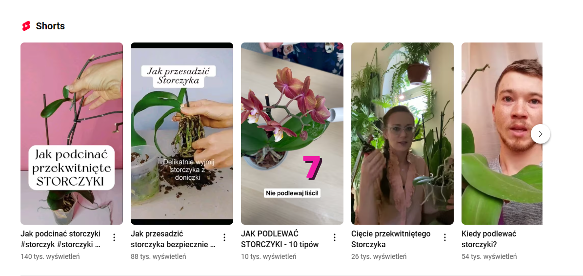 Rekomendacje YouTube Shorts