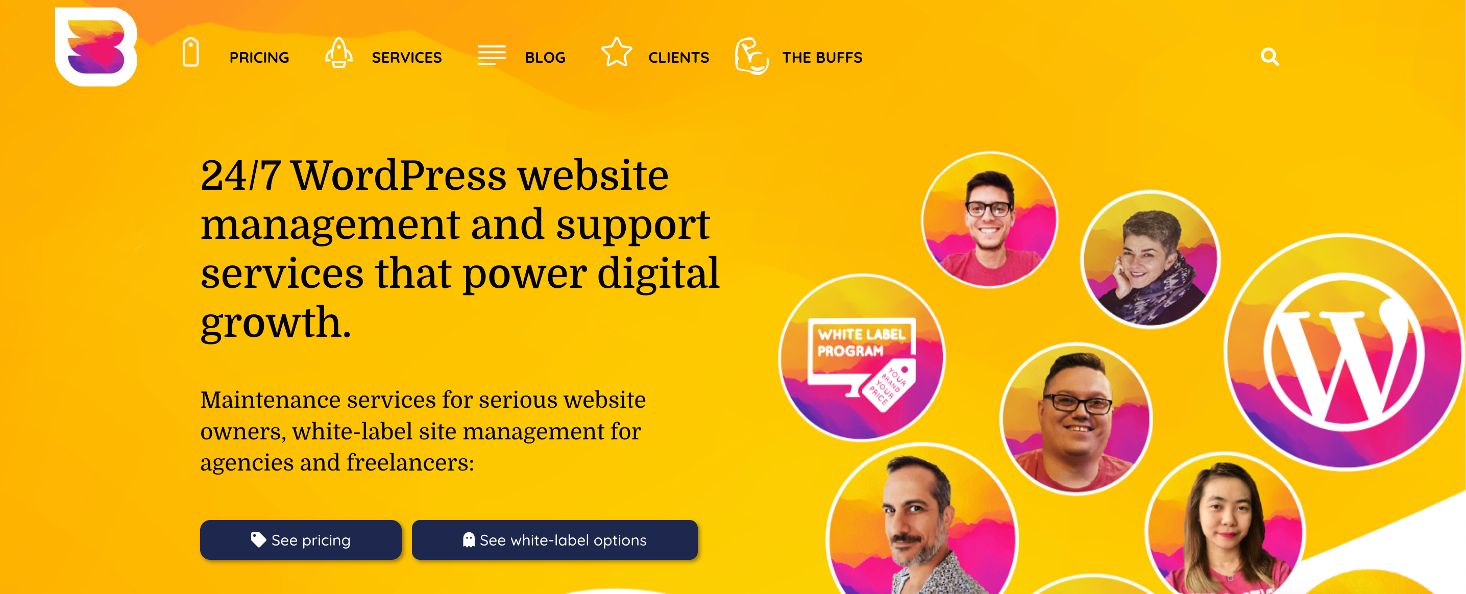 WP Buffs offers maintenance services for WordPress sites, some of their packeges include solution for slow WordPress site loads.